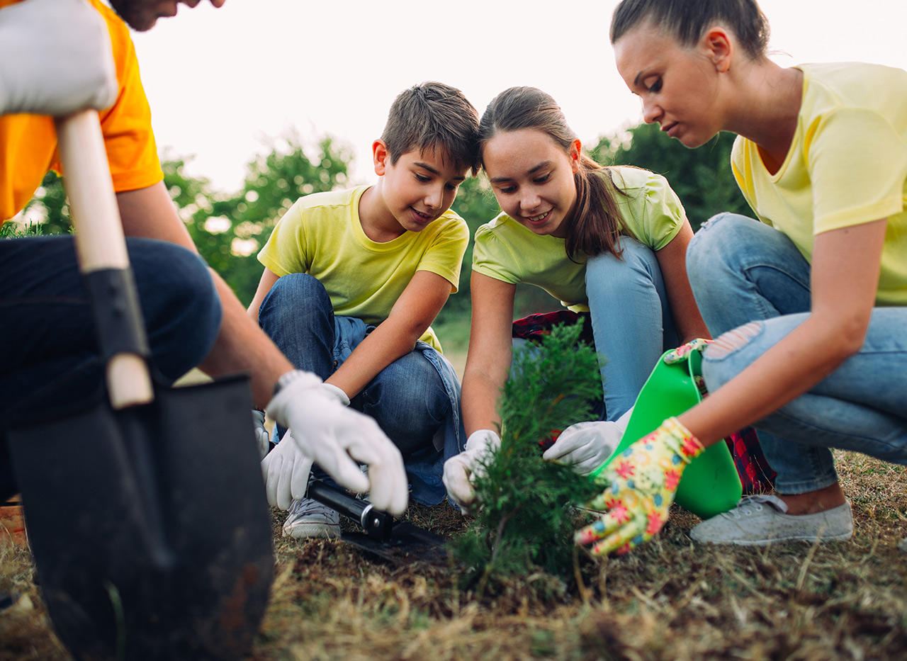 Lehrerin mit Kindern beim Pflanzen eines Baumes